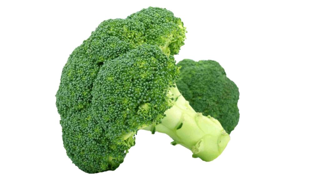 Massive Broccoli Shortage in 2022  