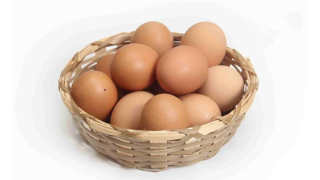Egg Shortage 2022