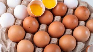 Egg Shortage 2022