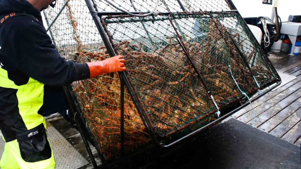 Alaskan Crab shortage 2023