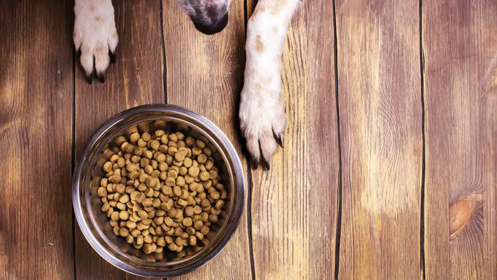 Authority Dog Food Discontinued