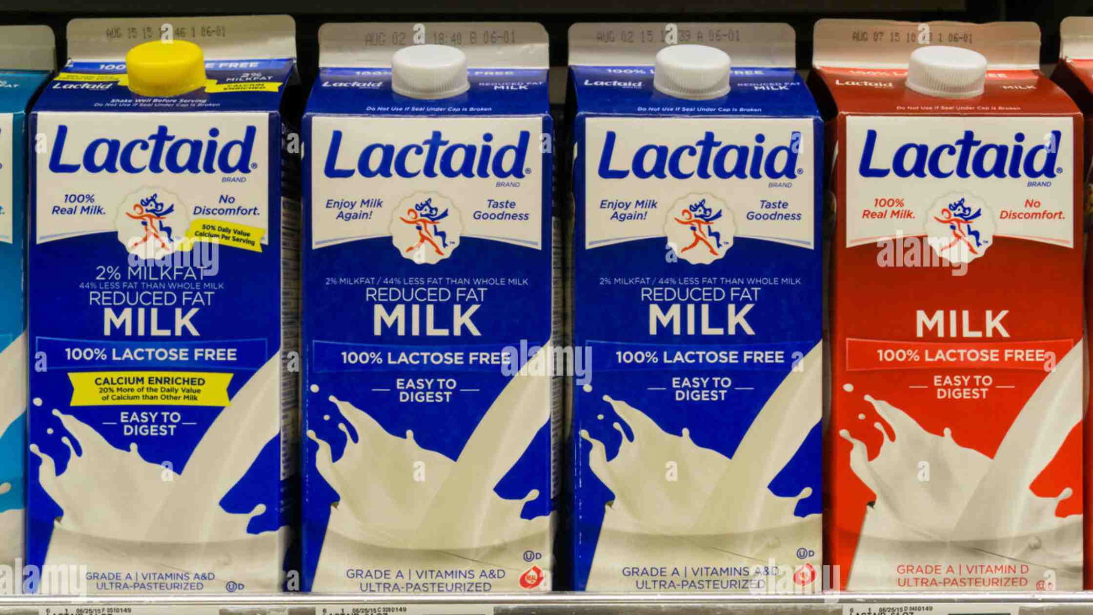 Lactaid Milk Shortage 2023 - What happened and Who sells it now?