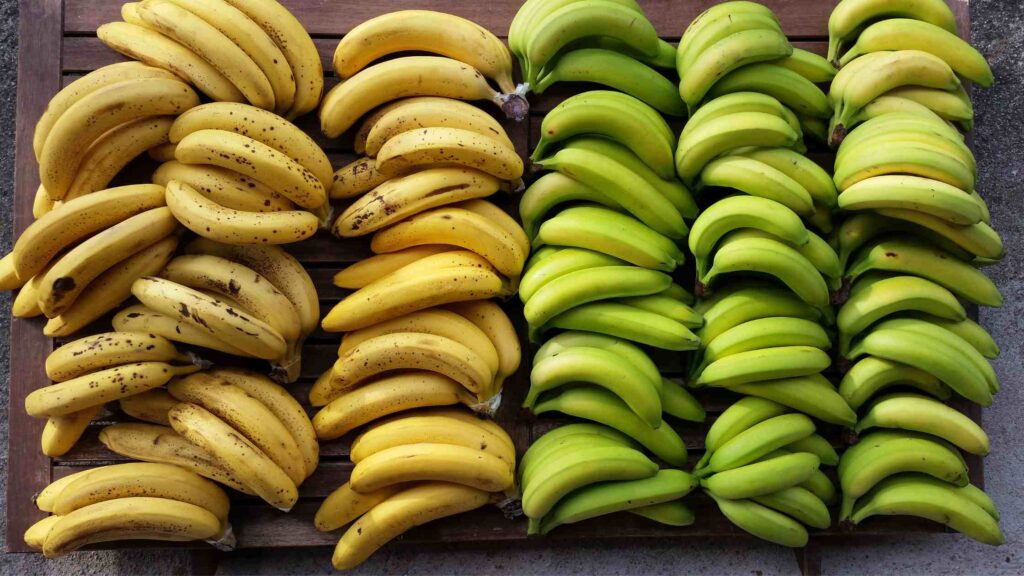 Banana Shortage 2023