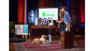  Is ICPooch out of business in 2023 - What after Shark Tank?
