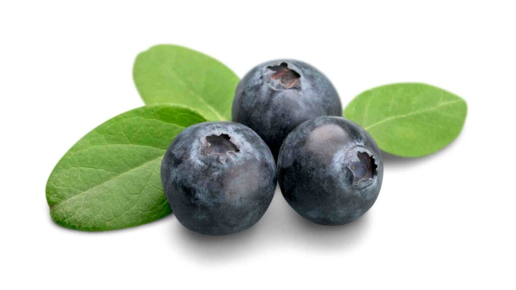 Blueberry shortage