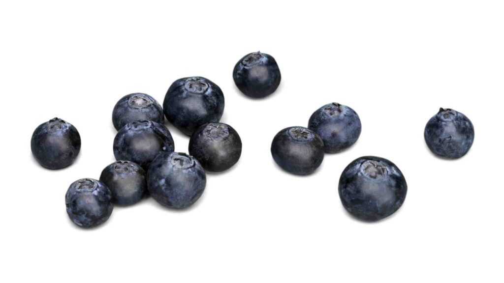 Blueberry shortage 2023