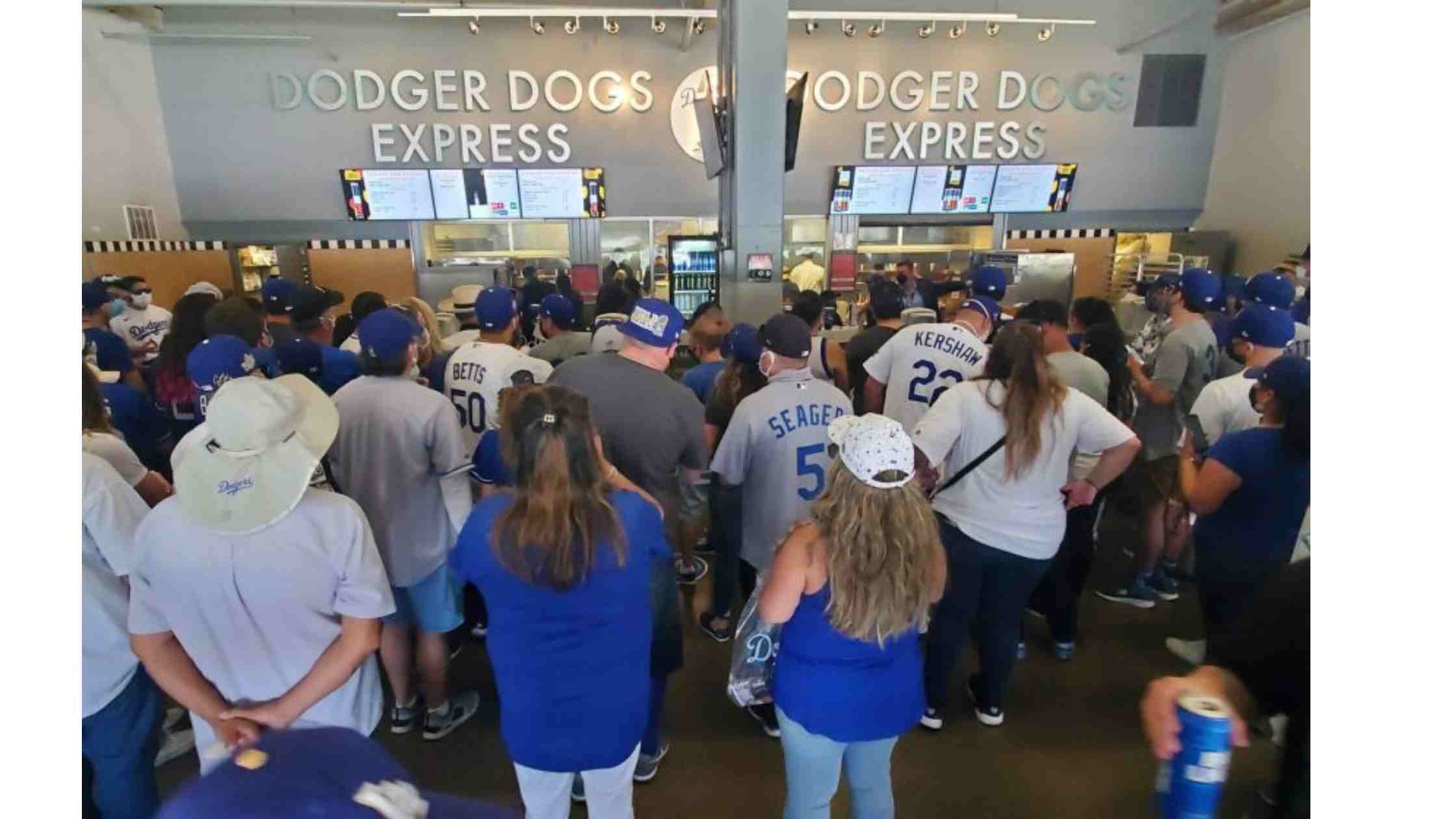 Dodger Dogs - Los Angeles Dodgers T-Shirt - BipuBunny Store in 2023