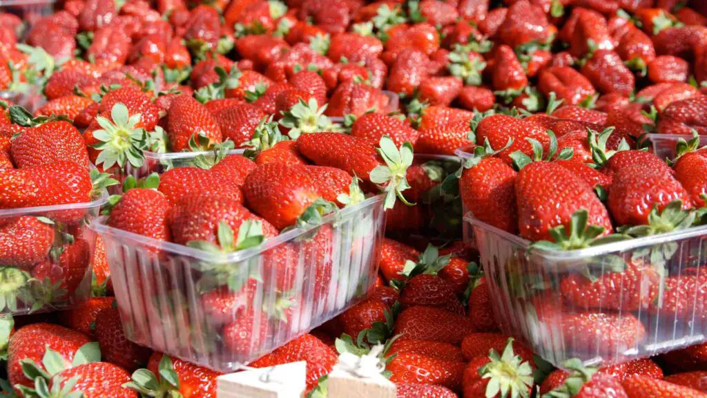 Strawberry shortage 2023
